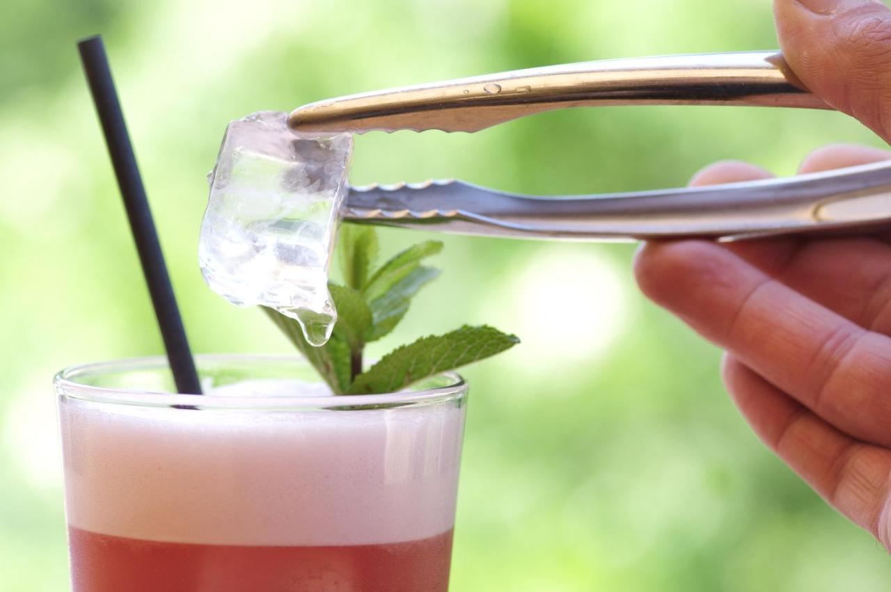 Domaine Du Ferret Restaurant & Spa Lège-Cap-Ferret 외부 사진