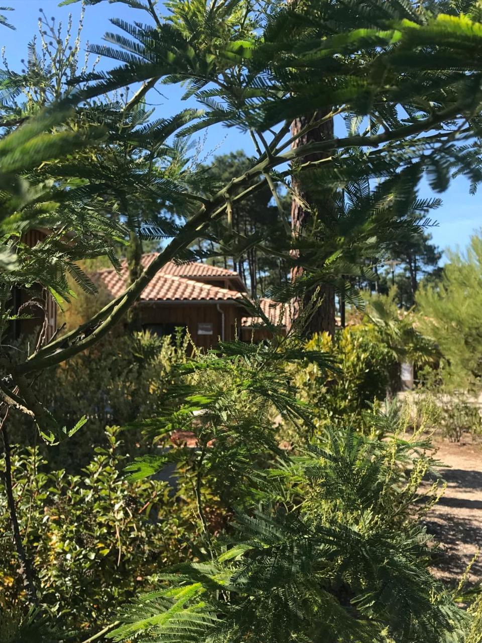 Domaine Du Ferret Restaurant & Spa Lège-Cap-Ferret 외부 사진